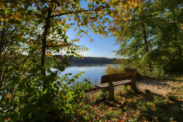 艺的比赛风 艺的比赛风