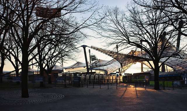 争取进入季 争取进入季