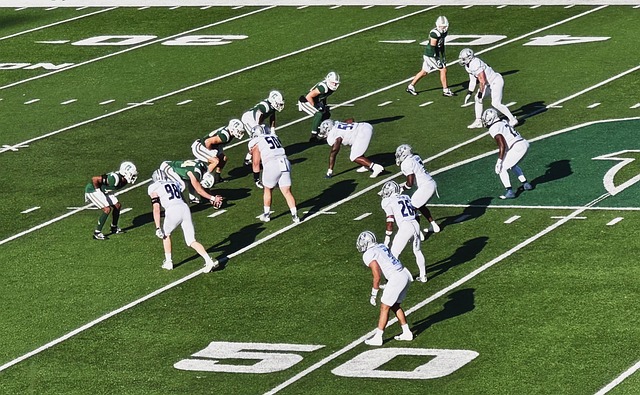 诺伊尔和国 诺伊尔和国